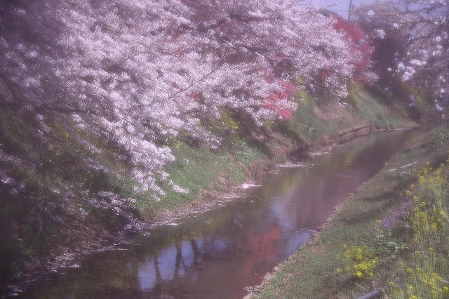 c0229539_1914323.jpg