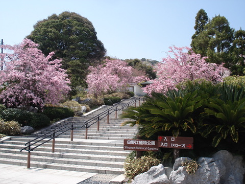 白野江植物公園に行ってきました。_d0153941_1029477.jpg