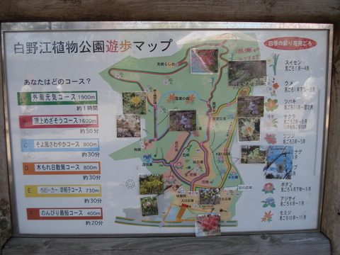 白野江植物公園に行ってきました。_d0153941_10351178.jpg