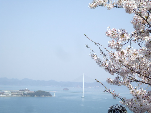 b0157942_9591730.jpg