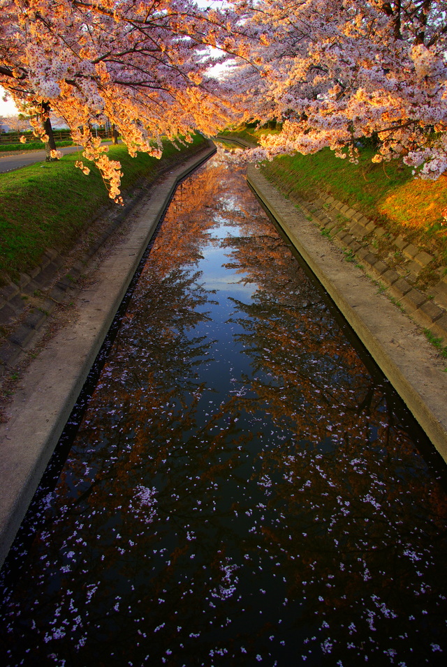 d0186245_23201013.jpg