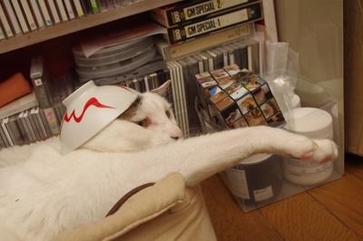 鉢かつぎヨウカンさん。_a0028451_1249952.jpg