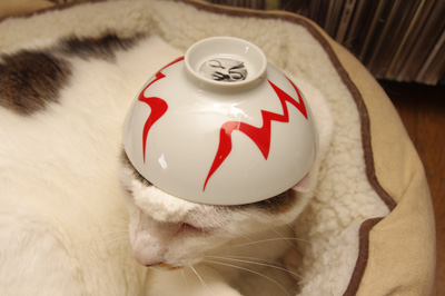 鉢かつぎヨウカンさん。_a0028451_18372670.jpg