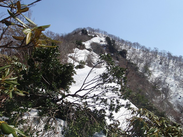 c0097754_17133055.jpg