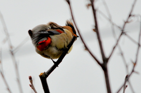 b0165760_2015111.jpg