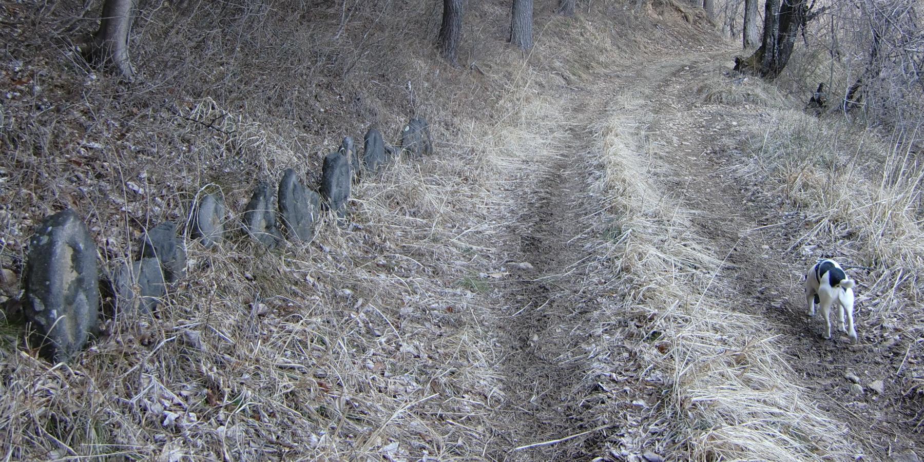 c0140260_033104.jpg