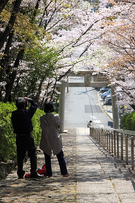 宗忠神社＆竹中稲荷_d0152960_22191155.jpg