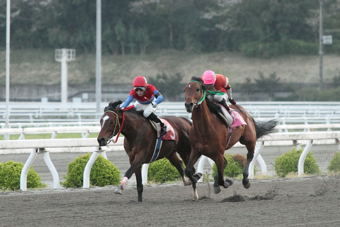 2011年4月10日（日） 高知競馬 6R C3-7_a0077663_852443.jpg