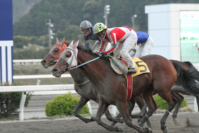 2011年4月10日（日） 高知競馬 6R C3-7_a0077663_854965.jpg