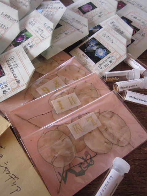 鳩山郁子ブログ「鳩小屋通信」/ Ikuko Hatoyama Official Blog.