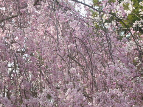 c0125272_22393245.jpg