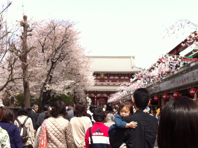 隅田公園・桜_b0206085_1375712.jpg