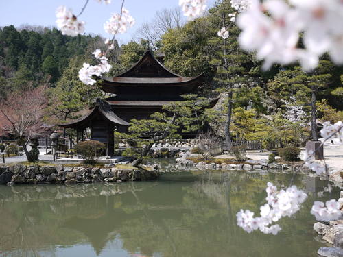 らっせいみさと・永保寺・チャーハン・鉢植え・洗車_e0197785_21455521.jpg