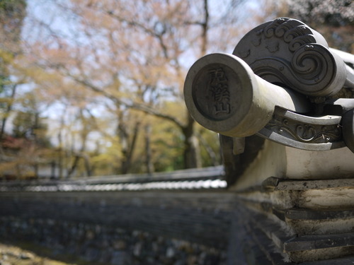 らっせいみさと・永保寺・チャーハン・鉢植え・洗車_e0197785_2153249.jpg