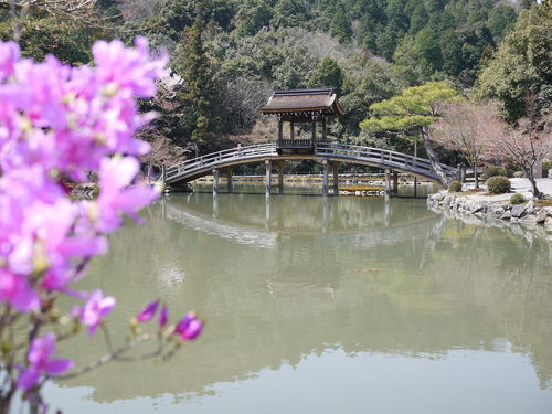 らっせいみさと・永保寺・チャーハン・鉢植え・洗車_e0197785_21534830.jpg