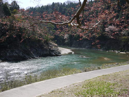 らっせいみさと・永保寺・チャーハン・鉢植え・洗車_e0197785_22133445.jpg