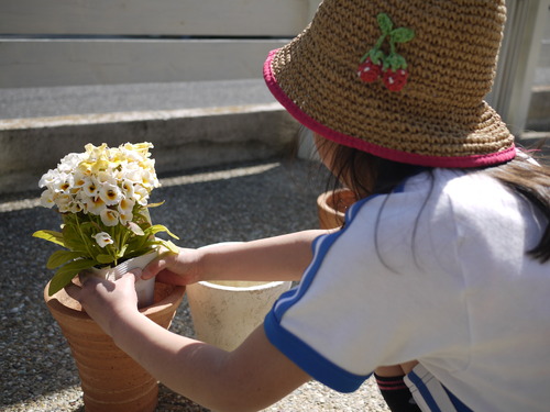 らっせいみさと・永保寺・チャーハン・鉢植え・洗車_e0197785_22235786.jpg