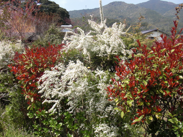 e0216090_2212489.jpg