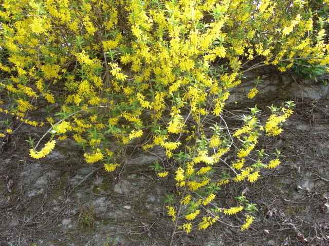 e0216090_221540.jpg