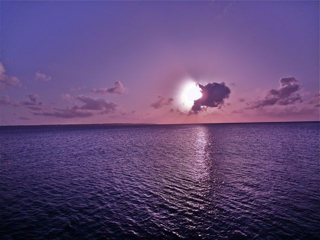 b0121693_034812.jpg