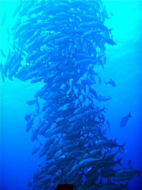 b0121693_052034.jpg