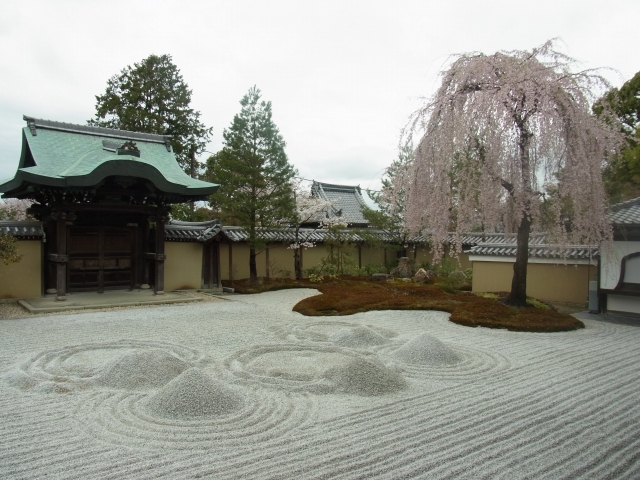 街から古都へ～京都桜紀行（其の三）_e0152493_20524967.jpg