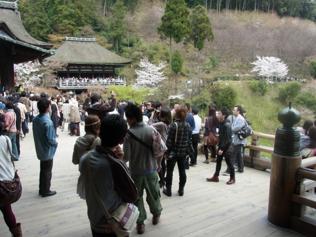 街から古都へ～京都桜紀行（其の三）_e0152493_20571372.jpg