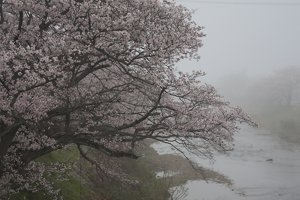 c0032494_2128976.jpg