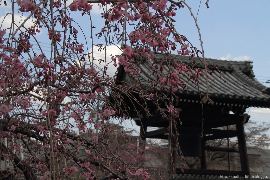 上品蓮台寺_f0095094_22302056.jpg