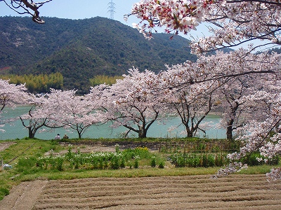 周辺散策イベント_b0199498_20594480.jpg
