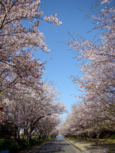 山口宇部医療センター_a0047200_1512372.jpg