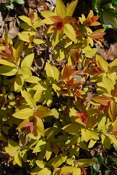 c0124100_23472476.jpg