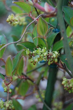 c0124100_23503318.jpg
