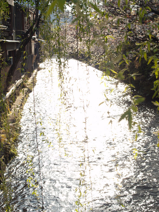 c0188405_1542130.jpg