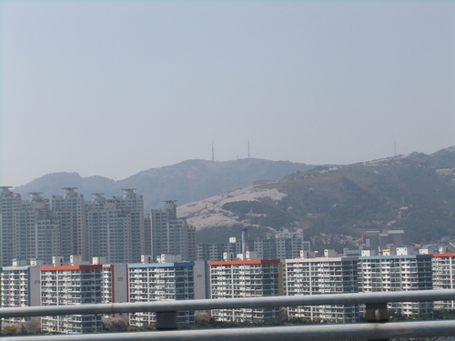 d0191206_2134577.jpg