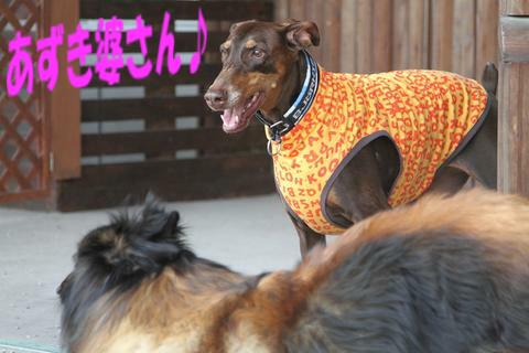 e0100007_22661.jpg