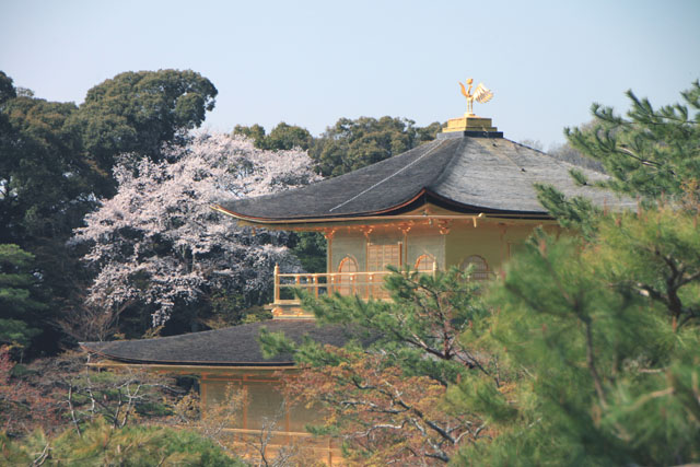 世界遺産の春 金閣寺 京都の旅 四季の写真集 世界遺産の春 金閣寺 京都の旅 四季の写真集