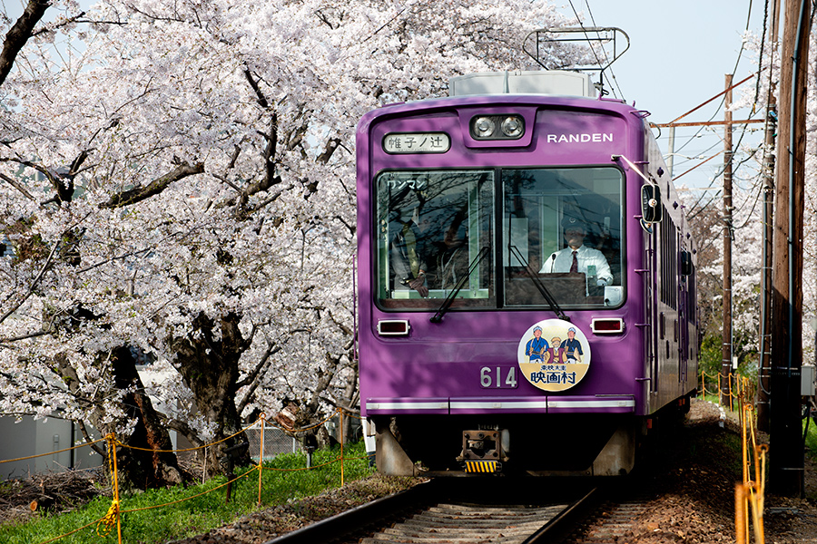 京都 嵐電 桜のトンネル_a0140914_061924.jpg