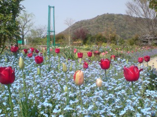 e0135518_1703950.jpg