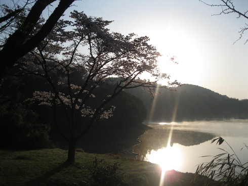 「花見ギャザリング」~~_a0125419_910519.jpg
