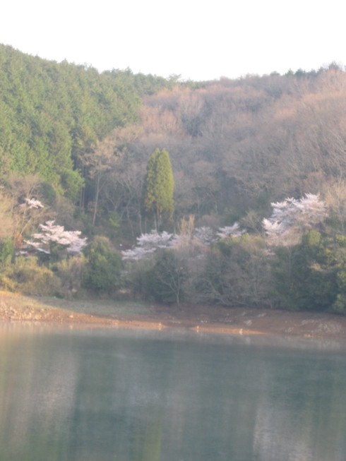 「花見ギャザリング」~~_a0125419_9135044.jpg