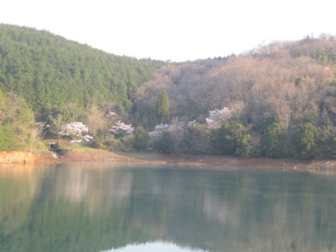 「花見ギャザリング」~~_a0125419_913535.jpg