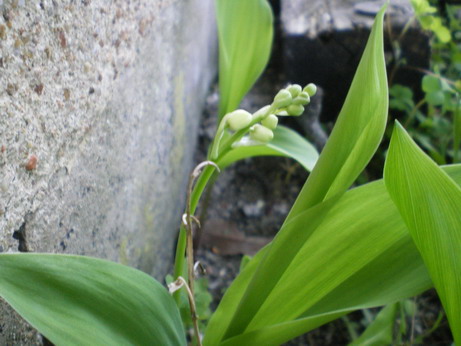 c0124619_0222985.jpg