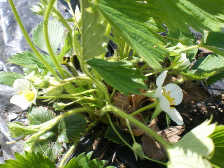 c0124619_0225120.jpg