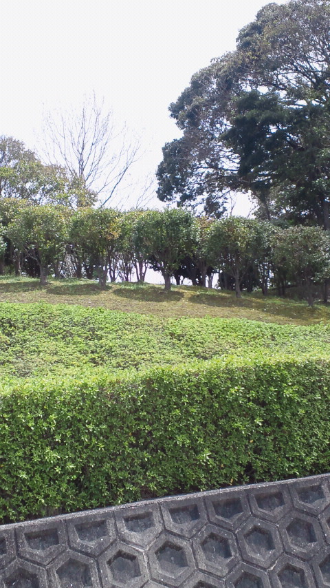 d0150722_15194512.jpg