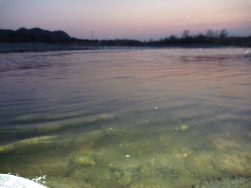 d0227723_0408.jpg