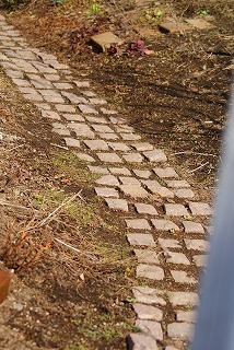 f0170524_19341921.jpg