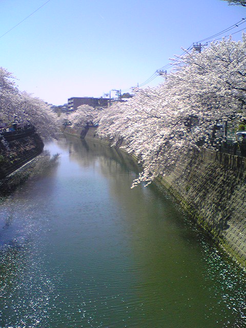 f0054025_9185612.jpg