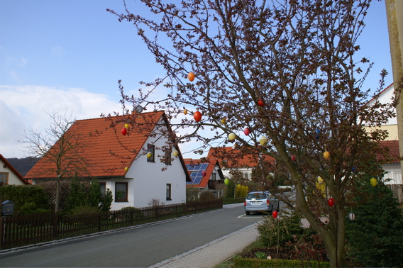 f0229725_50032.jpg