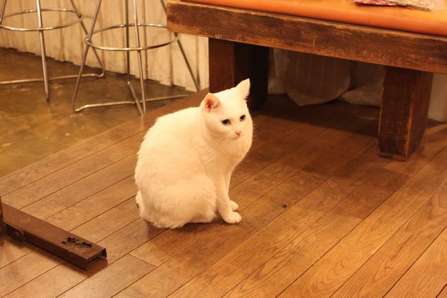 Am I Losing you?　小さな写真展。_d0148729_239152.jpg